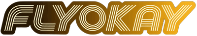 Flyokay LED flying orb gift brand logo